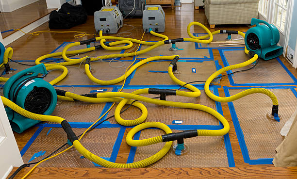 Professional Basement Flood Cleanup technician working in Ashland, MA